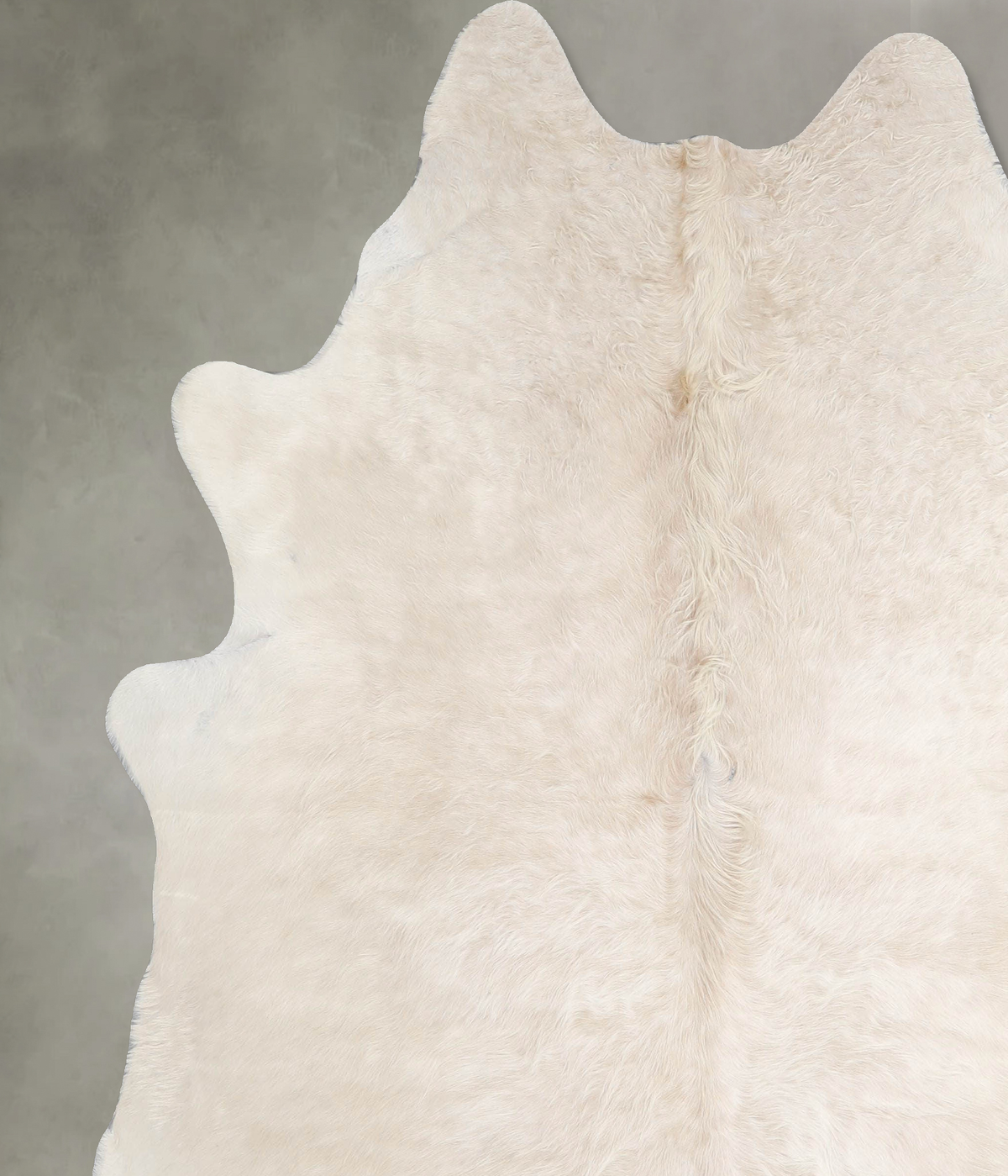 Champagne X-Large Brazilian Cowhide Rug 7'2"H x 6'4"W #A55545 by Hudson Hides