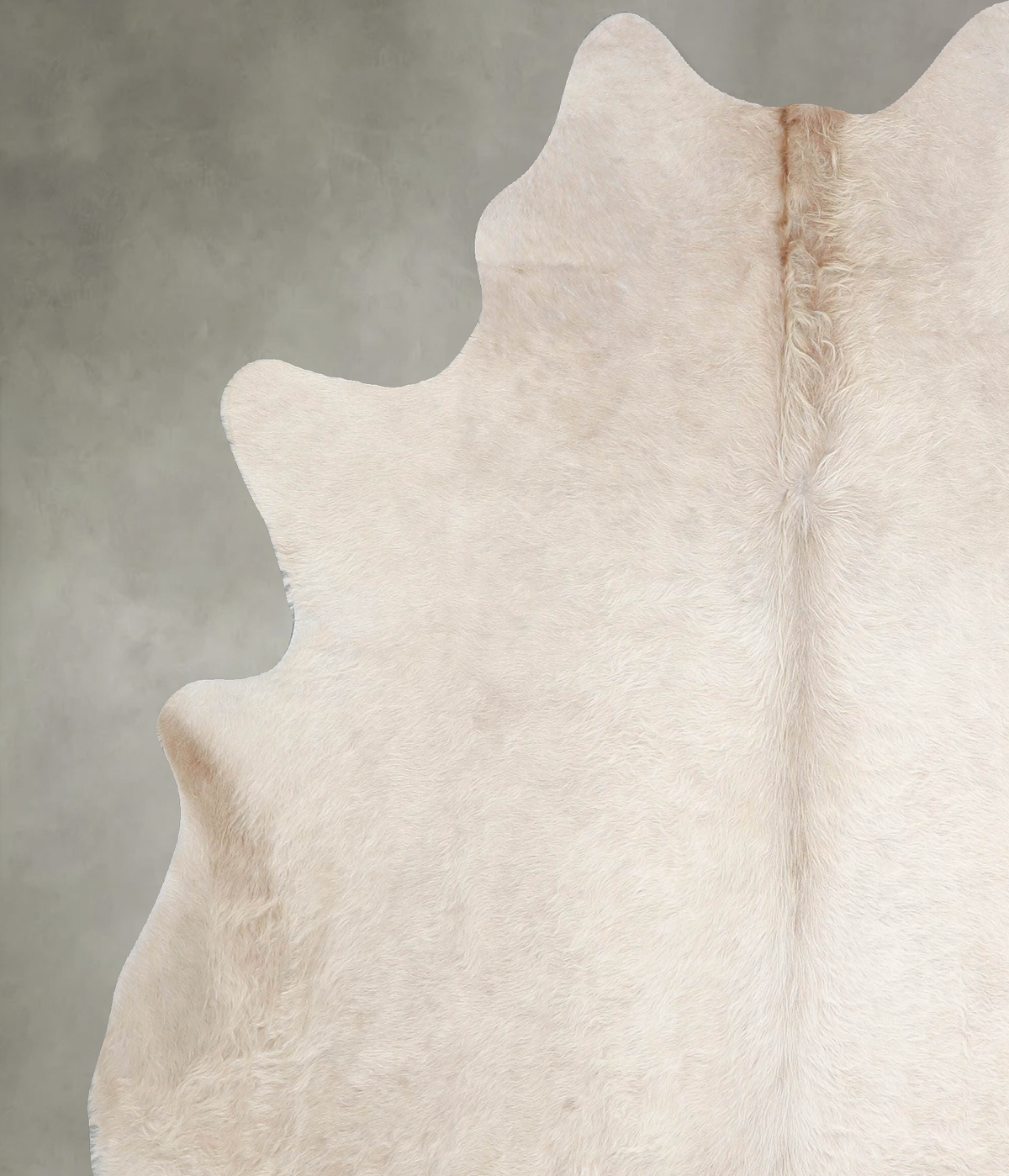 Champagne X-Large Brazilian Cowhide Rug 6'9"H x 6'2"W #A55546 by Hudson Hides