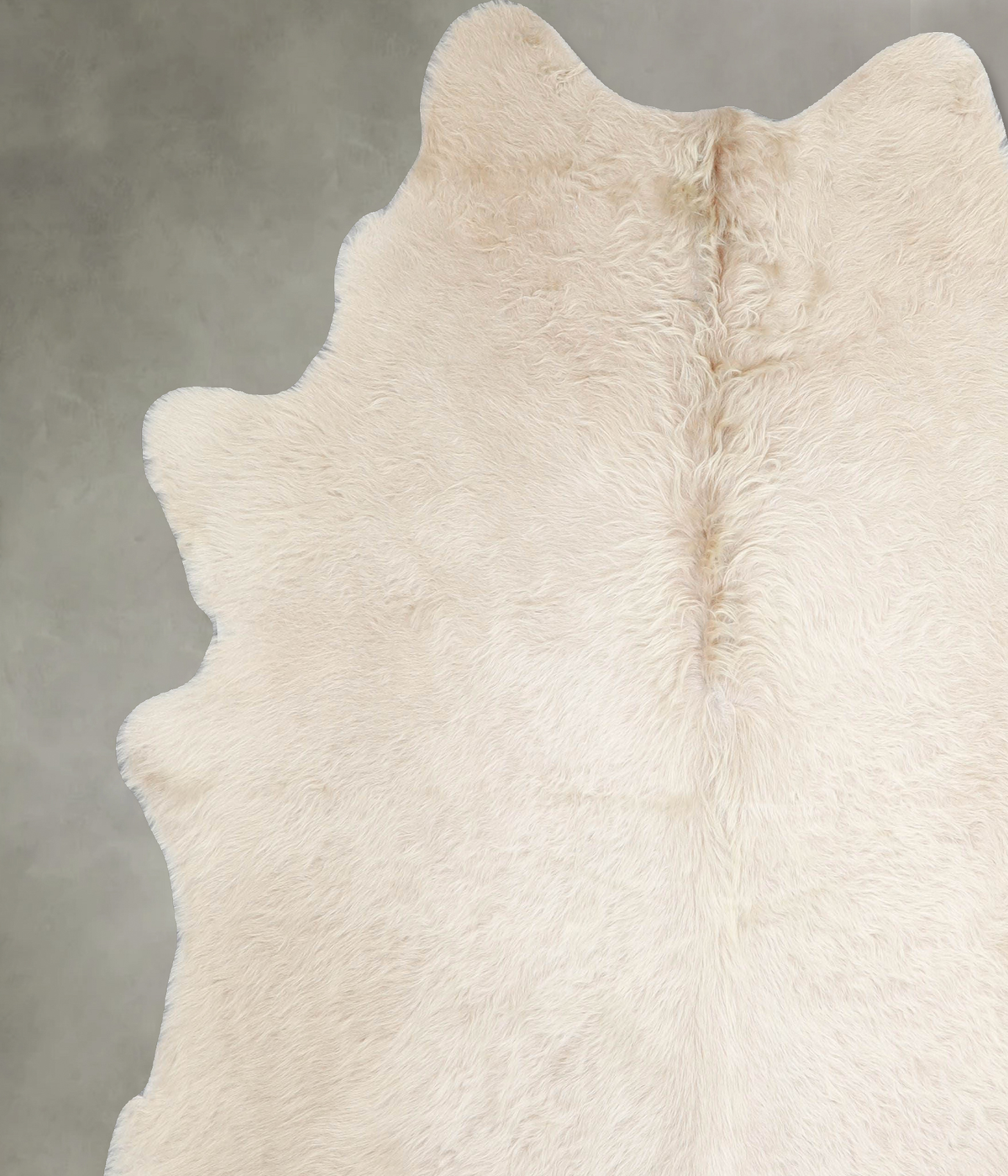Champagne X-Large Brazilian Cowhide Rug 7'2"H x 6'9"W #A55547 by Hudson Hides