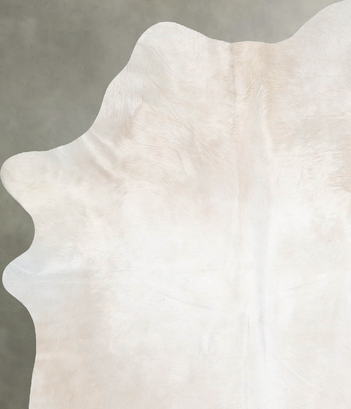 Champagne Large Brazilian Cowhide Rug 5'11"H x 5'2"W #A55548 by Hudson Hides