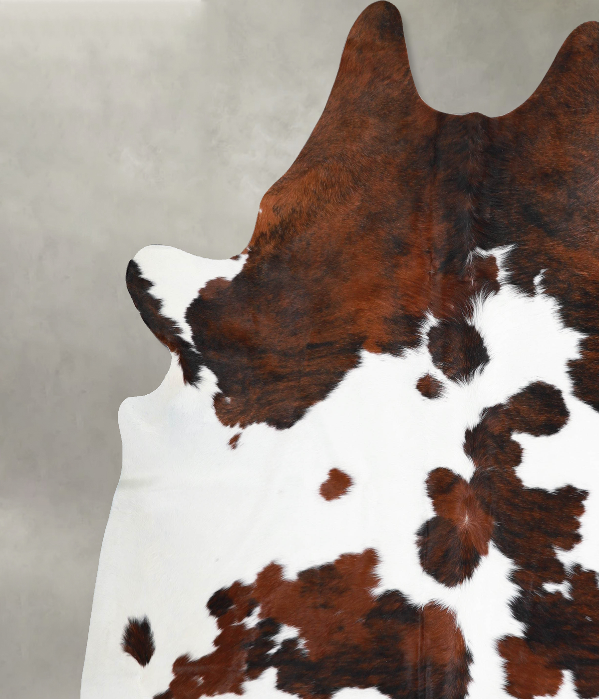 Tricolor XX-Large Brazilian Cowhide Rug 8'3"H x 7'7"W #A55549 by Hudson Hides