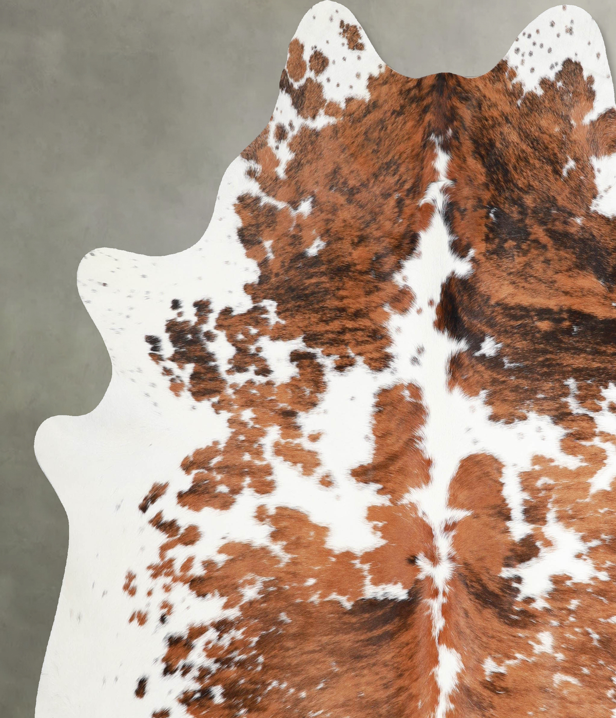 Tricolor X-Large Brazilian Cowhide Rug 7'8"H x 6'5"W #A55550 by Hudson Hides