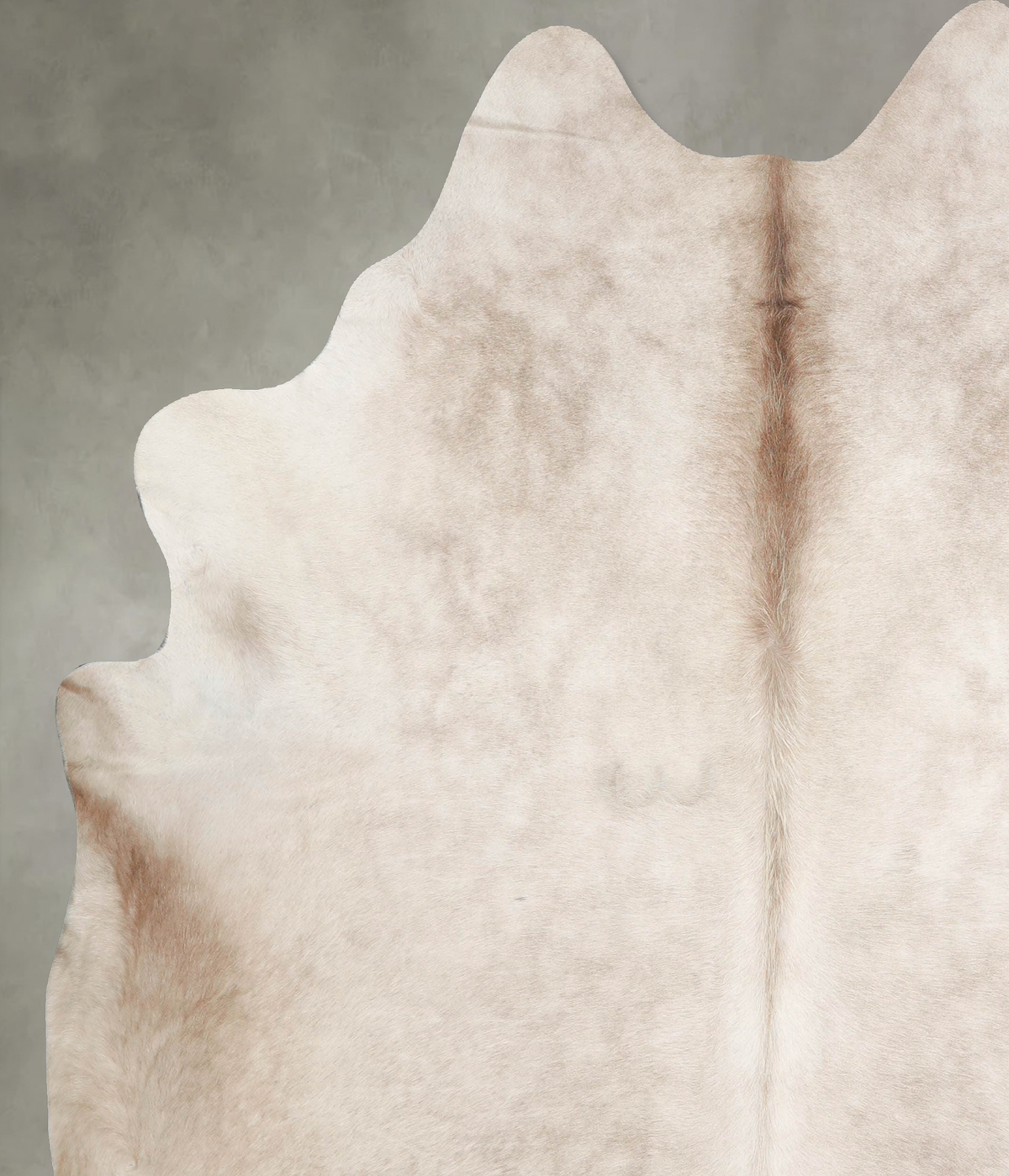 Champagne XX-Large Brazilian Cowhide Rug 7'7"H x 6'8"W #A55554 by Hudson Hides