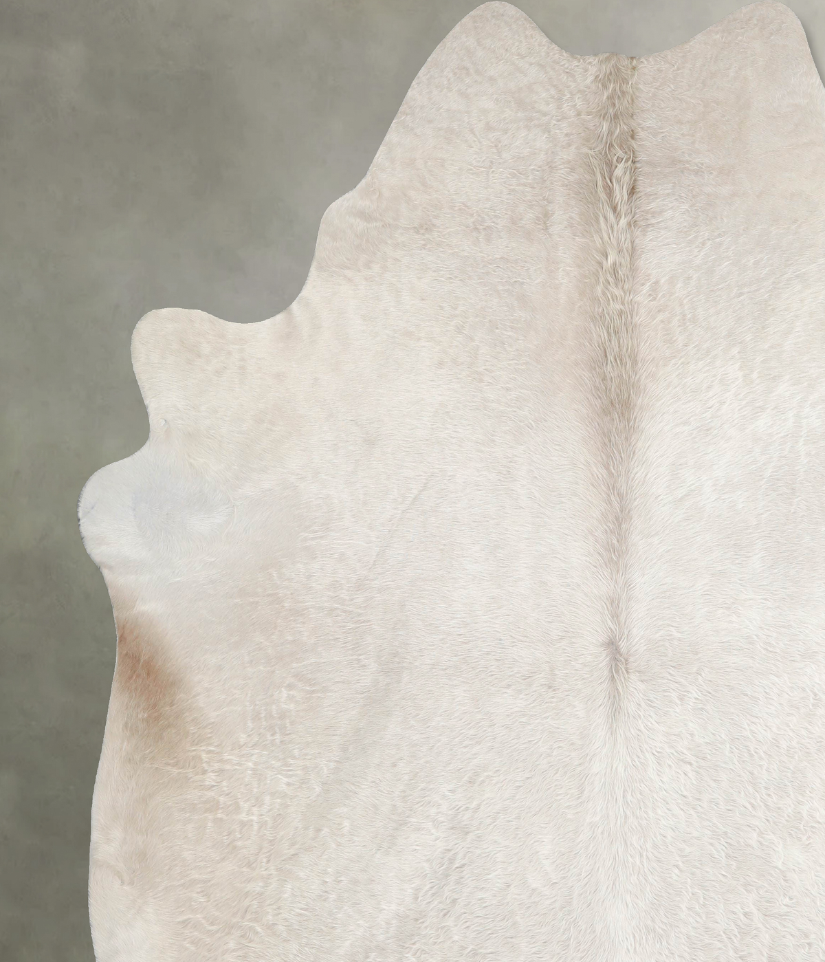 Champagne XX-Large Brazilian Cowhide Rug 8'2"H x 7'2"W #A55555 by Hudson Hides
