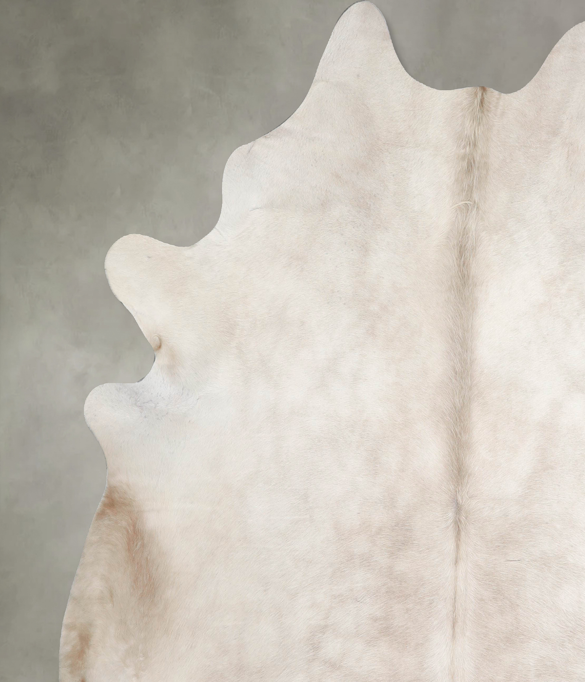 Champagne XX-Large Brazilian Cowhide Rug 7'7"H x 6'11"W #A55556 by Hudson Hides