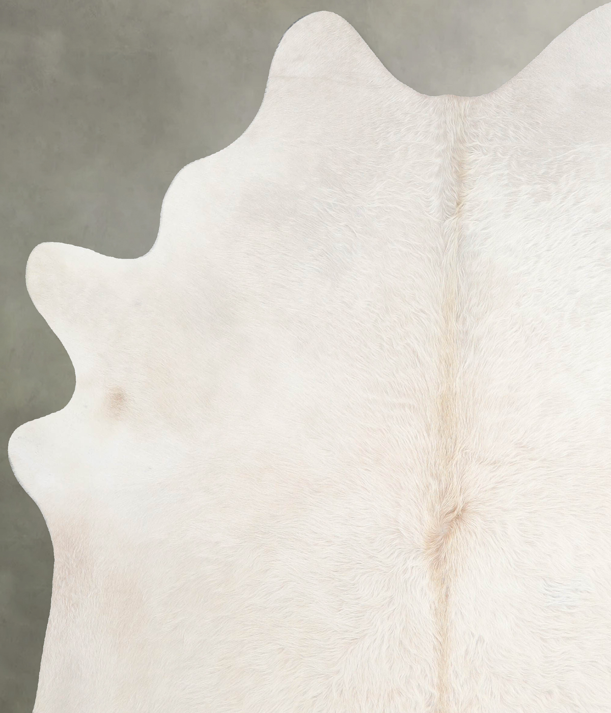 Champagne X-Large Brazilian Cowhide Rug 7'1"H x 6'3"W #A55558 by Hudson Hides