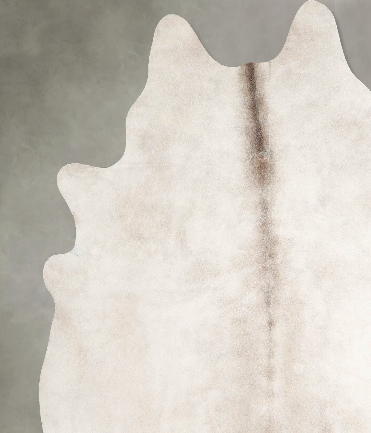 Champagne XX-Large Brazilian Cowhide Rug 7'6"H x 7'0"W #A55564 by Hudson Hides
