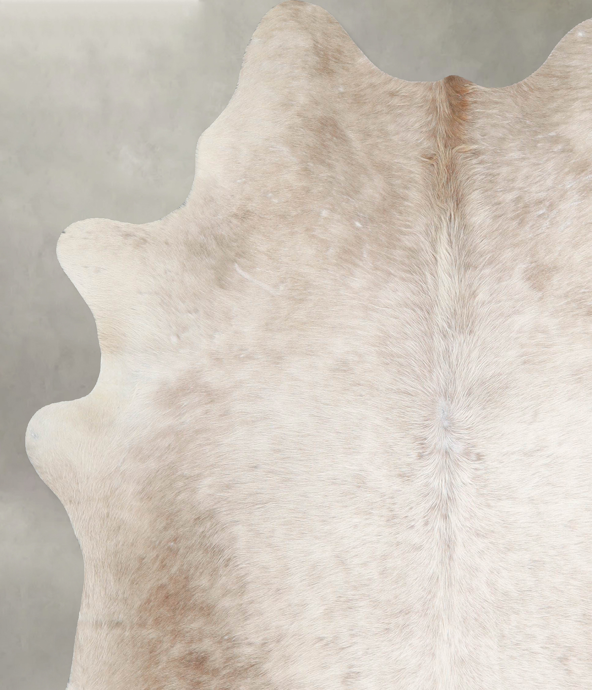 Champagne X-Large Brazilian Cowhide Rug 6'9"H x 6'0"W #A55572 by Hudson Hides