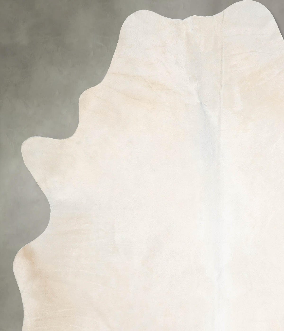 Champagne Large Brazilian Cowhide Rug 6'5"H x 5'7"W #A55575 by Hudson Hides