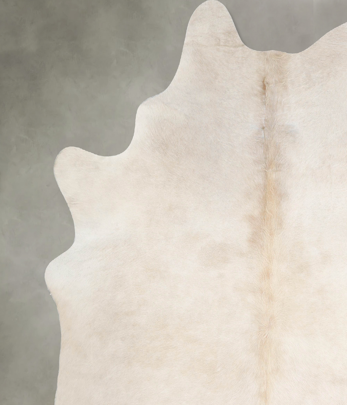 Champagne X-Large Brazilian Cowhide Rug 7'2"H x 6'2"W #A55577 by Hudson Hides