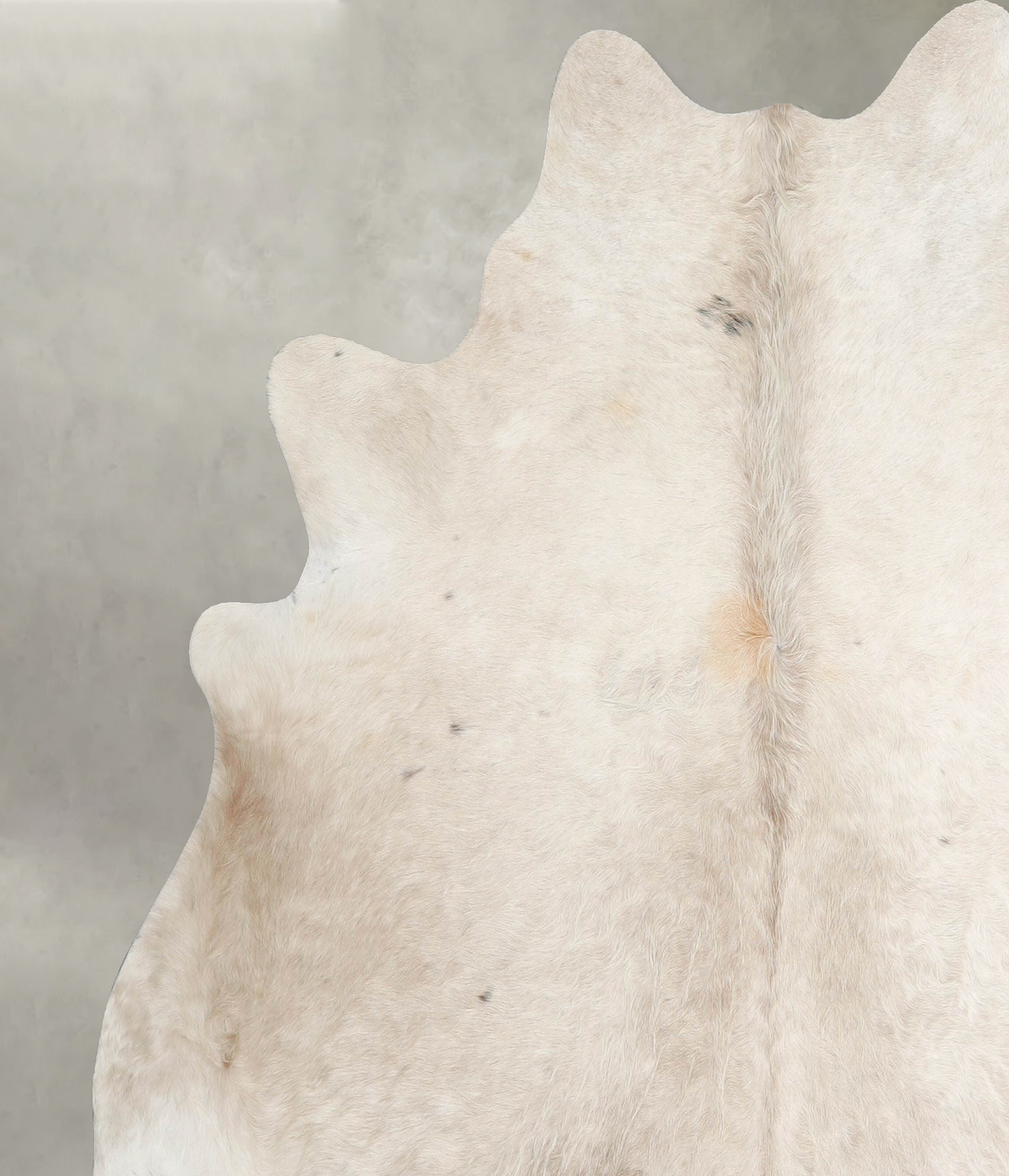 Champagne X-Large Brazilian Cowhide Rug 6'11"H x 7'1"W #A55580 by Hudson Hides