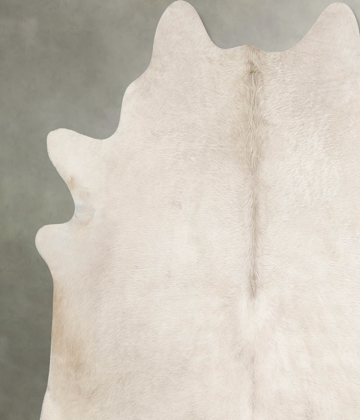 Champagne XX-Large Brazilian Cowhide Rug 7'3"H x 7'0"W #A55585 by Hudson Hides