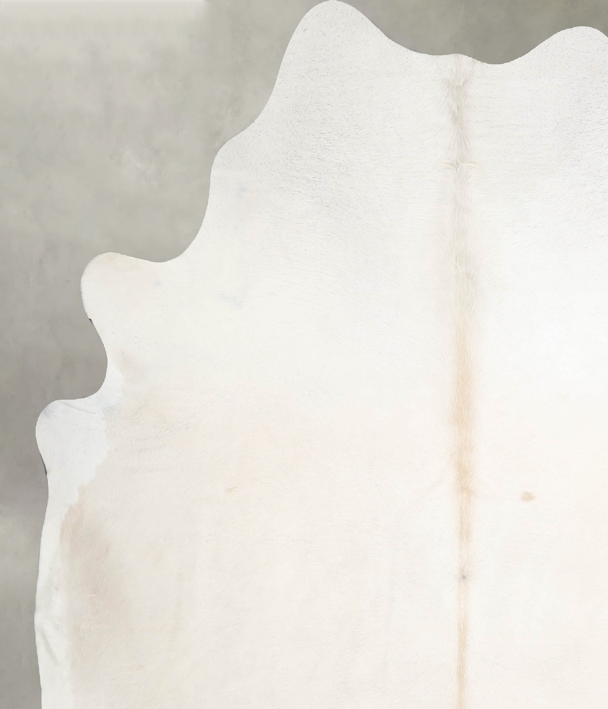 Champagne XX-Large Brazilian Cowhide Rug 8'0"H x 7'0"W #A55586 by Hudson Hides