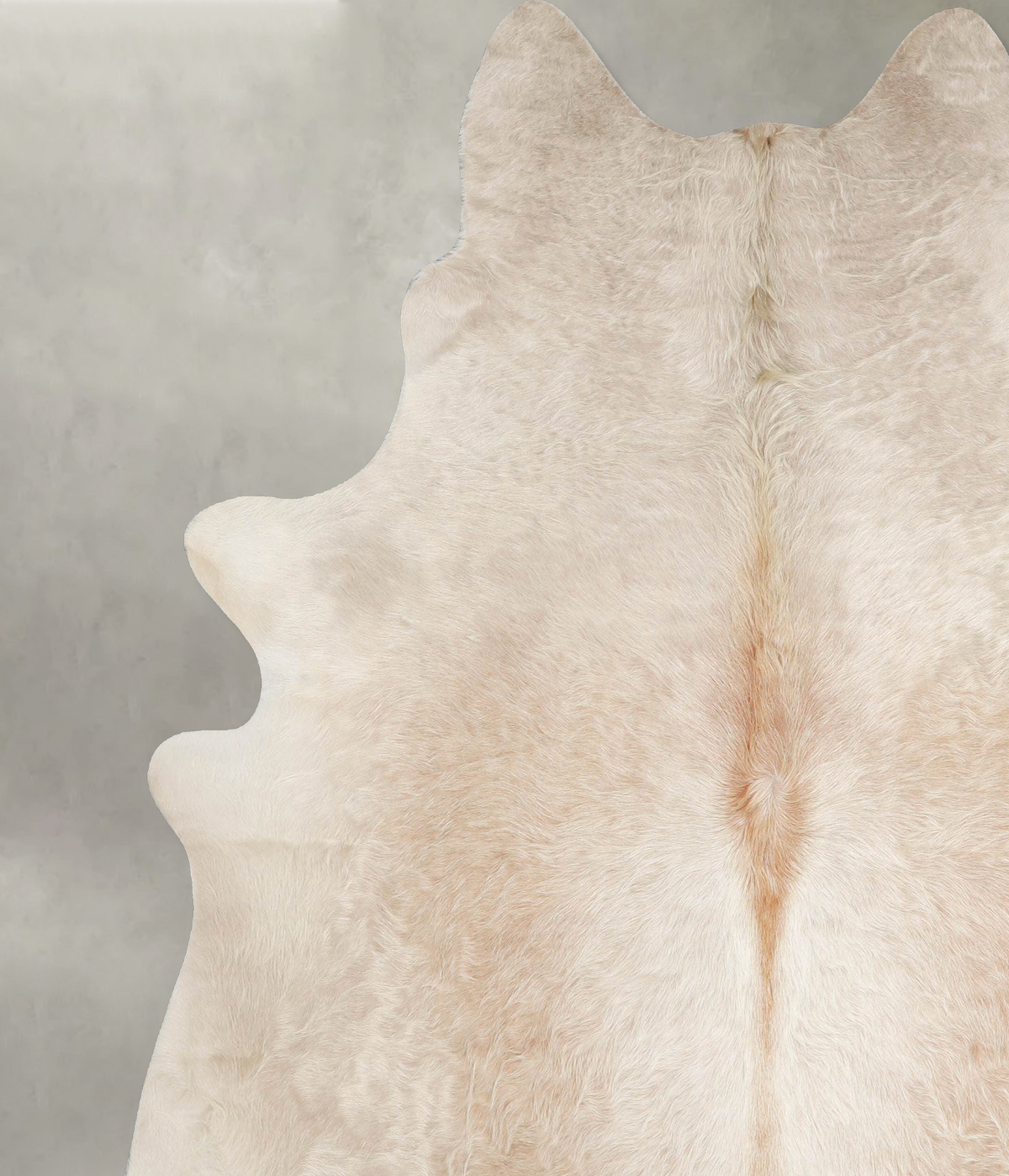 Champagne XX-Large Brazilian Cowhide Rug 7'10"H x 6'8"W #A55588 by Hudson Hides