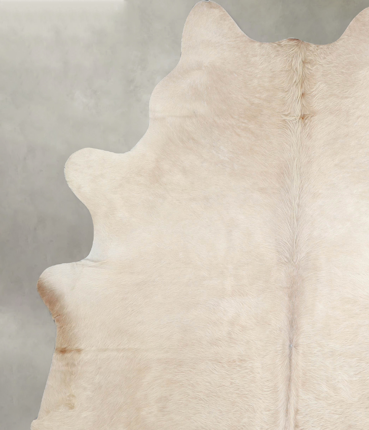 Champagne X-Large Brazilian Cowhide Rug 7'4"H x 6'5"W #A55590 by Hudson Hides