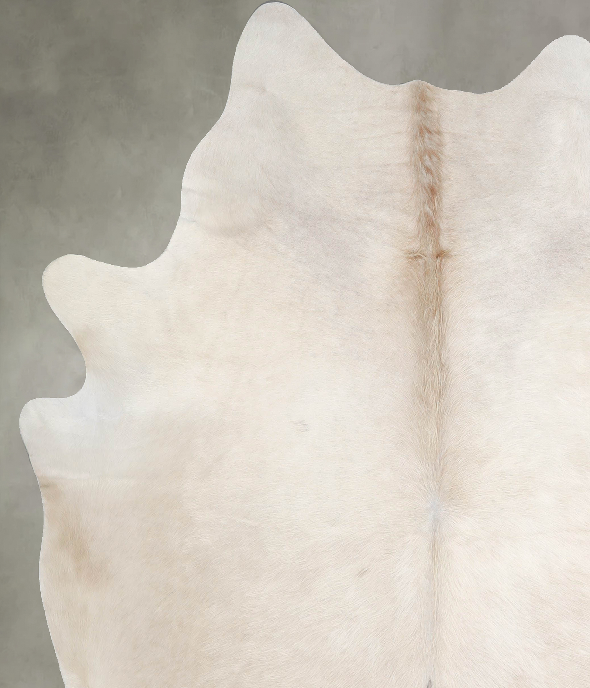 Champagne X-Large Brazilian Cowhide Rug 7'4"H x 6'5"W #A55593 by Hudson Hides