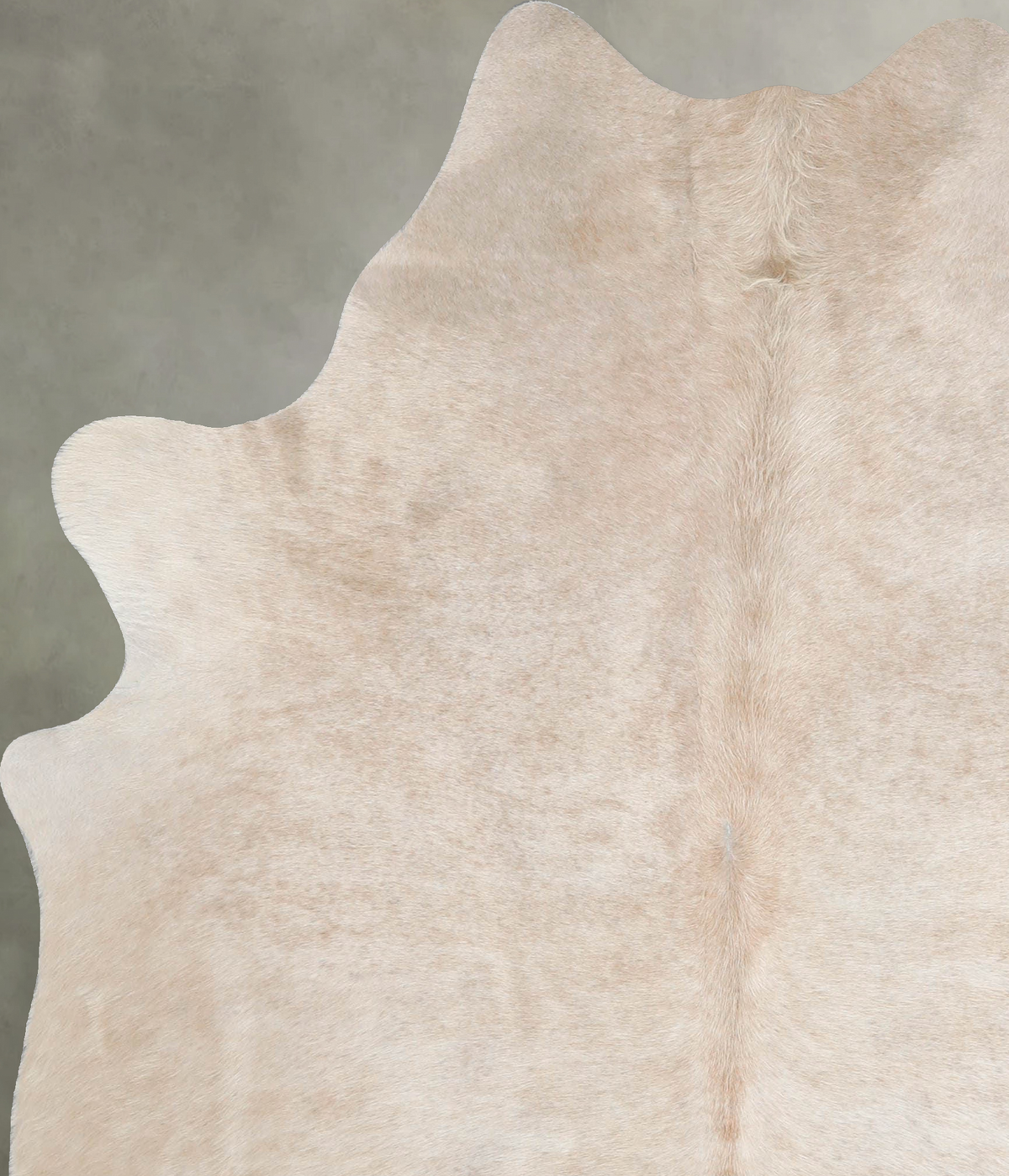 Champagne Large Brazilian Cowhide Rug 6'4"H x 5'4"W #A55596 by Hudson Hides