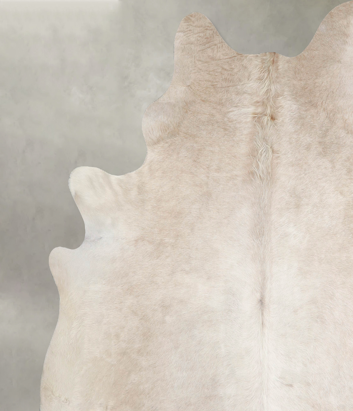 Champagne XX-Large Brazilian Cowhide Rug 7'8"H x 6'11"W #A55599 by Hudson Hides