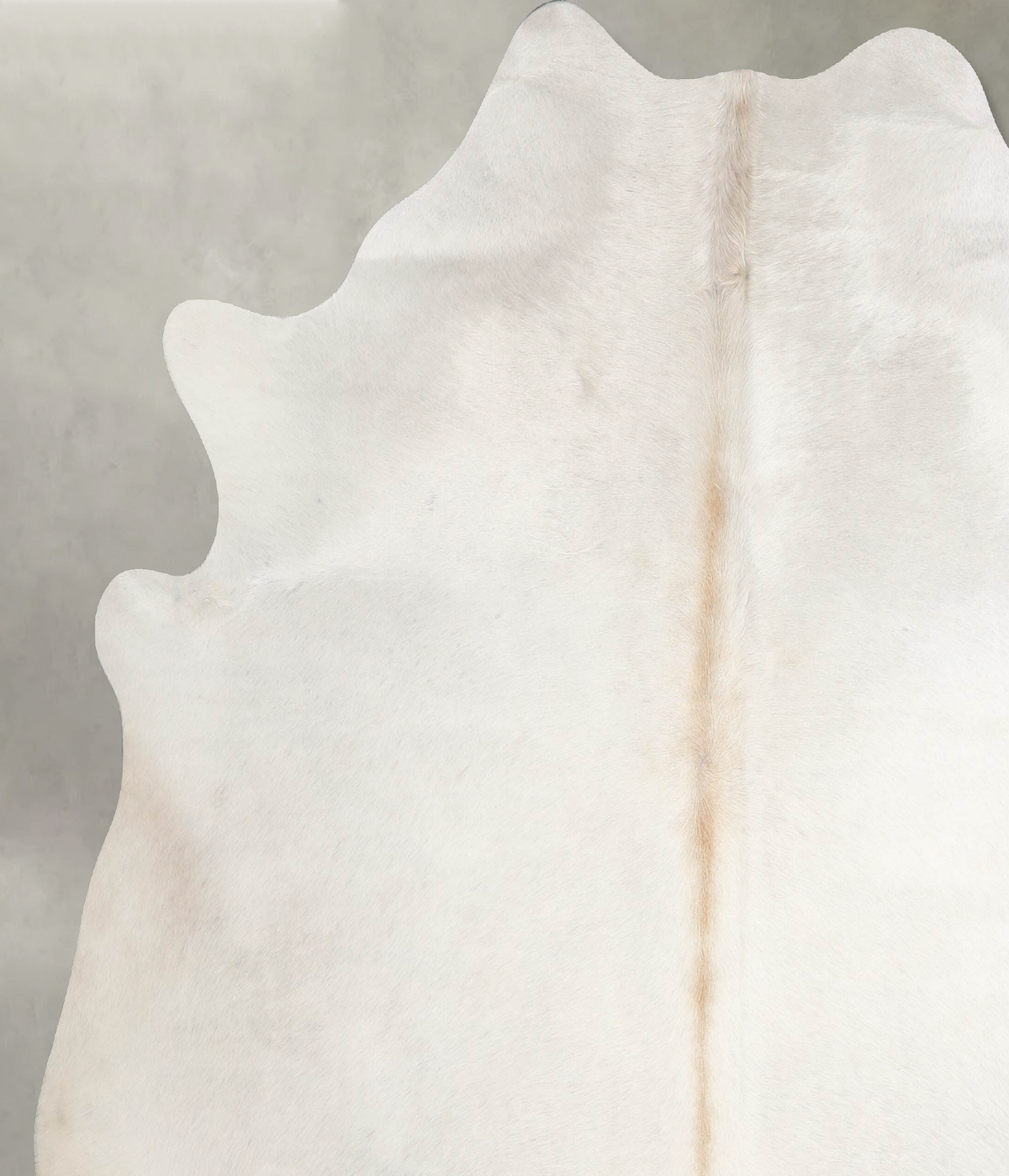 Champagne X-Large Brazilian Cowhide Rug 7'3"H x 6'9"W #A55600 by Hudson Hides