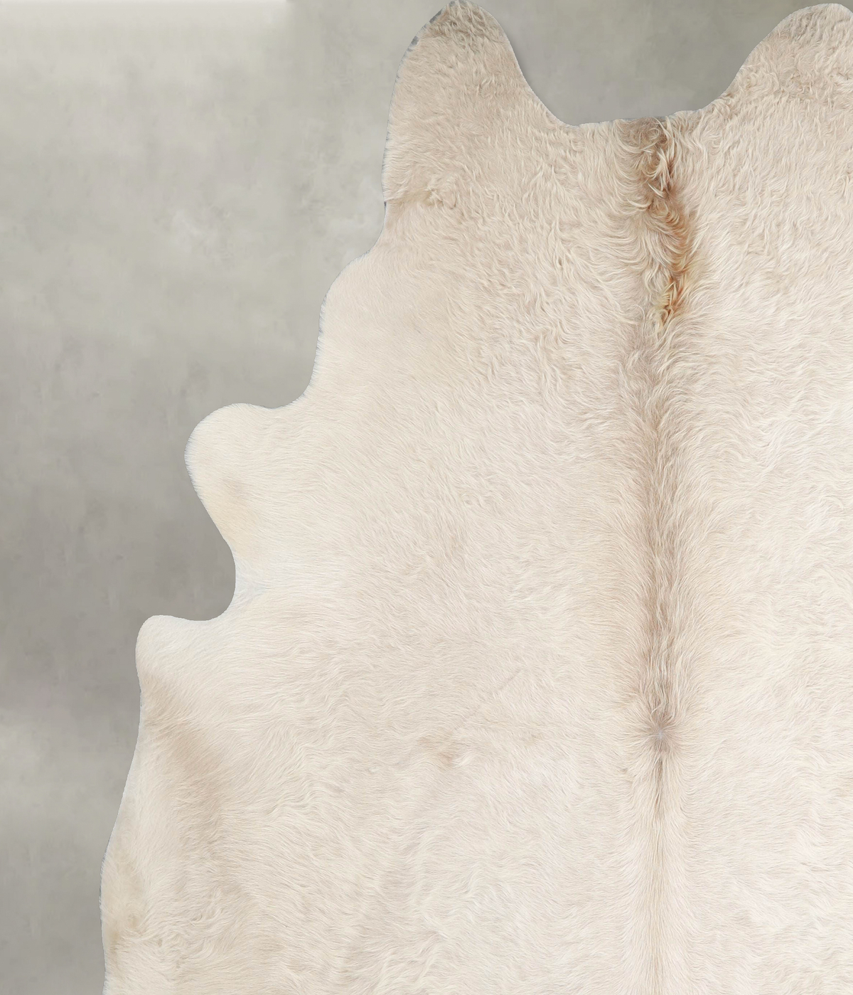 Champagne XX-Large Brazilian Cowhide Rug 8'1"H x 7'3"W #A55601 by Hudson Hides