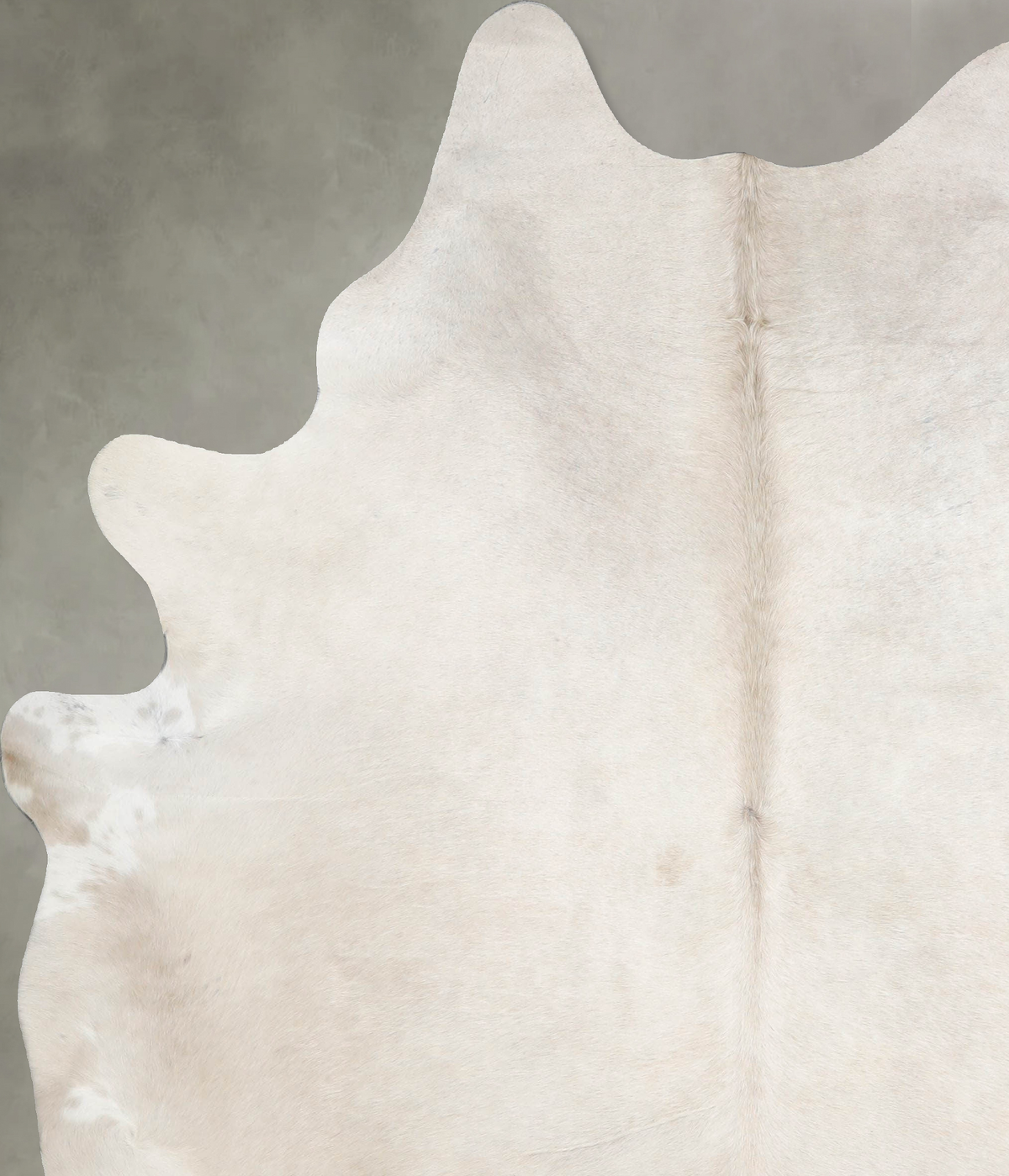 Champagne X-Large Brazilian Cowhide Rug 7'5"H x 6'3"W #A55603 by Hudson Hides