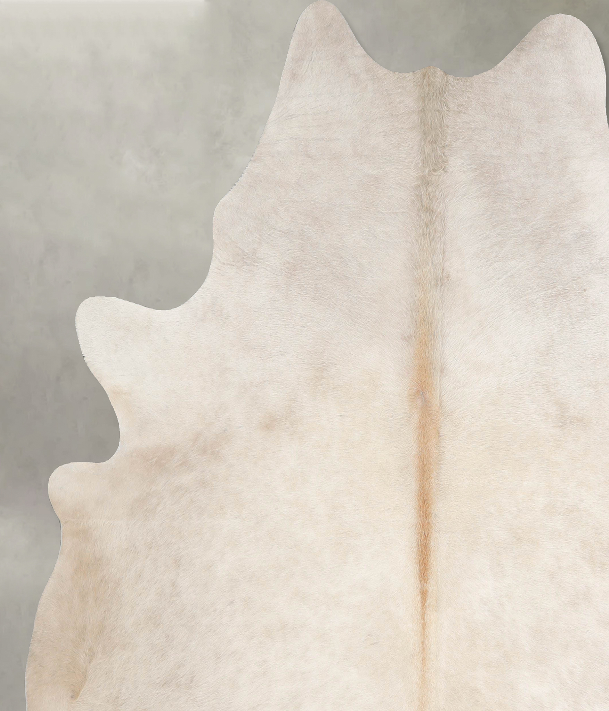 Champagne XX-Large Brazilian Cowhide Rug 7'8"H x 6'7"W #A55610 by Hudson Hides