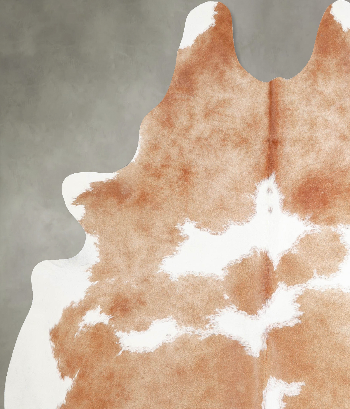 Beige and White X-Large Brazilian Cowhide Rug 7'4"H x 6'2"W #A55615 by Hudson Hides
