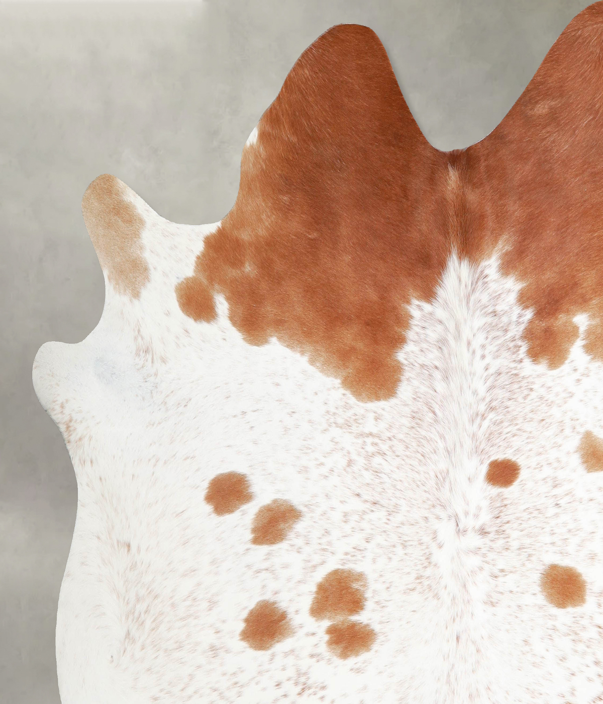 Beige and White X-Large Brazilian Cowhide Rug 6'8"H x 7'0"W #A55617 by Hudson Hides