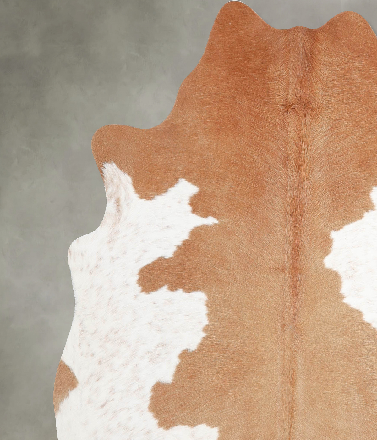 Beige and White Large Brazilian Cowhide Rug 6'0"H x 6'2"W #A55632 by Hudson Hides