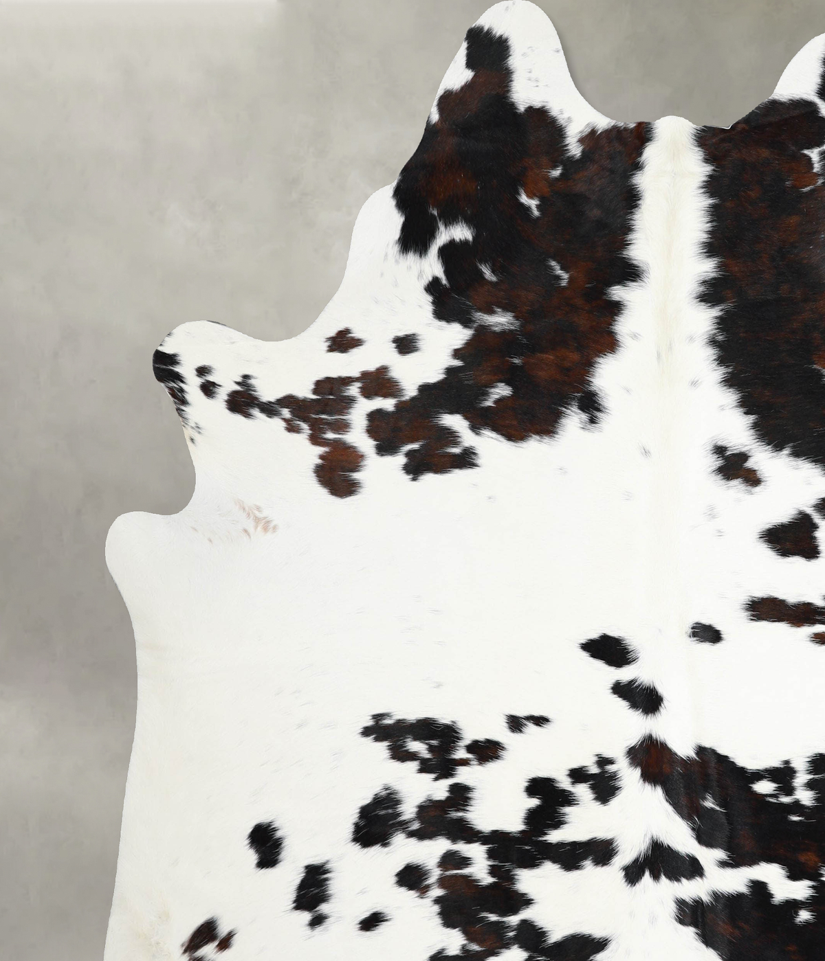 Tricolor XX-Large Brazilian Cowhide Rug 7'9"H x 6'7"W #A55633 by Hudson Hides