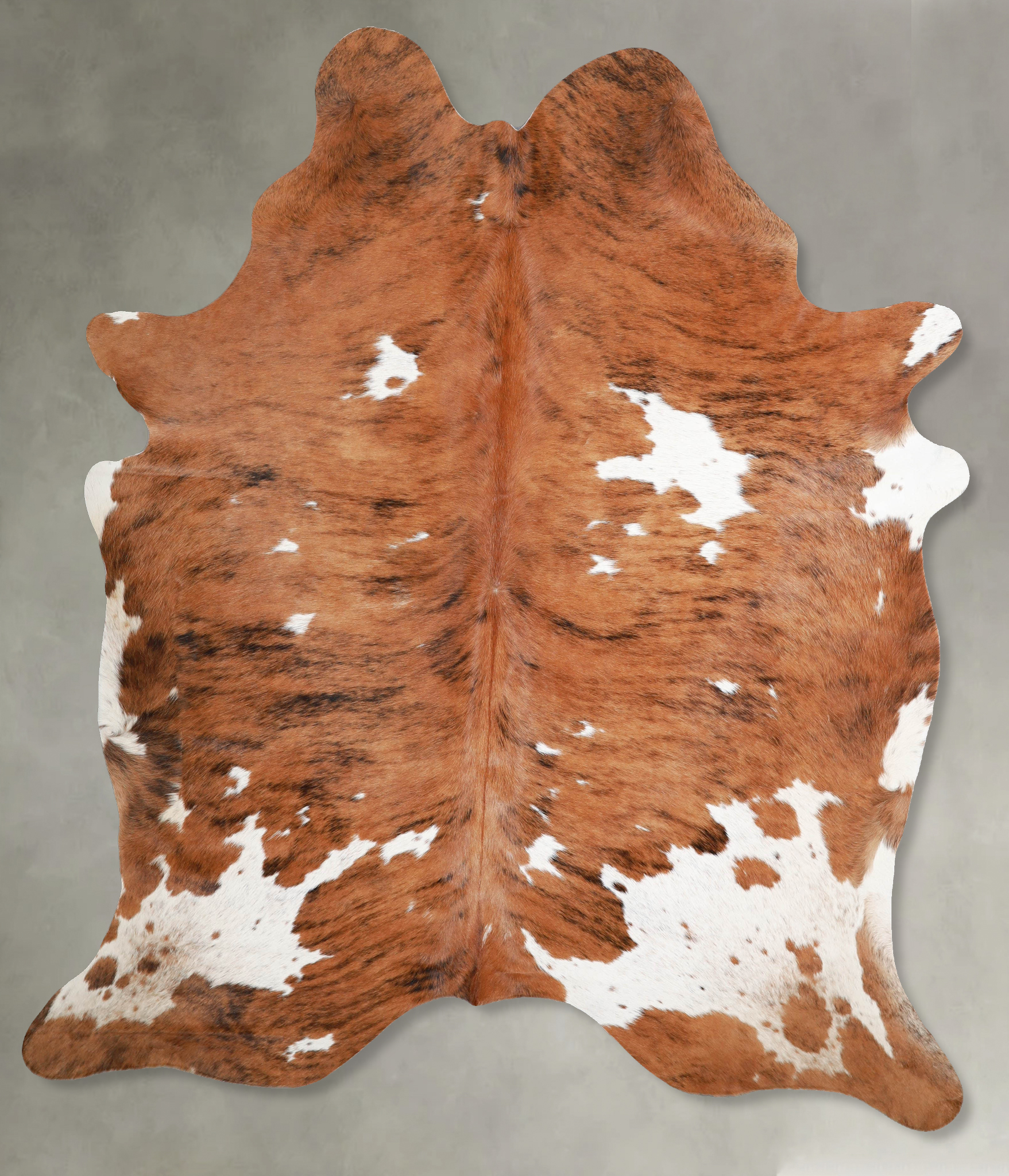 Tricolor Cowhide Rug #A55634