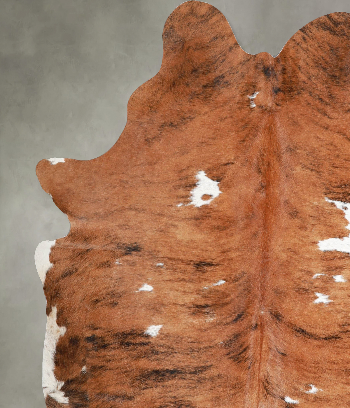 Tricolor X-Large Brazilian Cowhide Rug 7'7"H x 6'3"W #A55634 by Hudson Hides