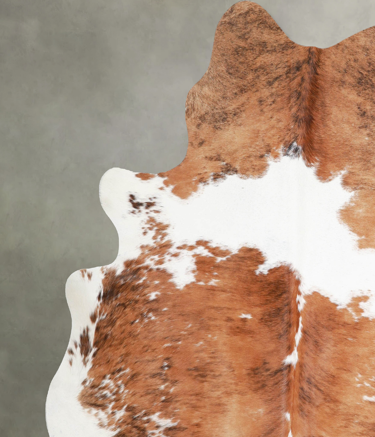 Tricolor X-Large Brazilian Cowhide Rug 7'3"H x 6'4"W #A55635 by Hudson Hides