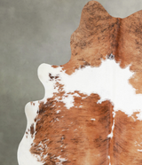 Tricolor X-Large Brazilian Cowhide Rug 7'3"H x 6'4"W #A55635 by Hudson Hides