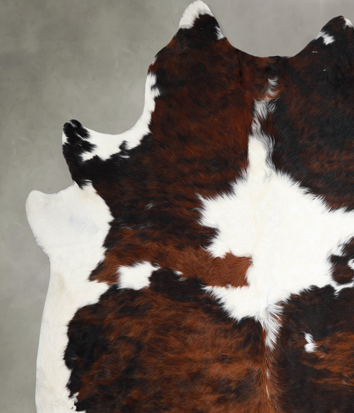 Tricolor XX-Large Brazilian Cowhide Rug 7'7"H x 7'0"W #A55637 by Hudson Hides