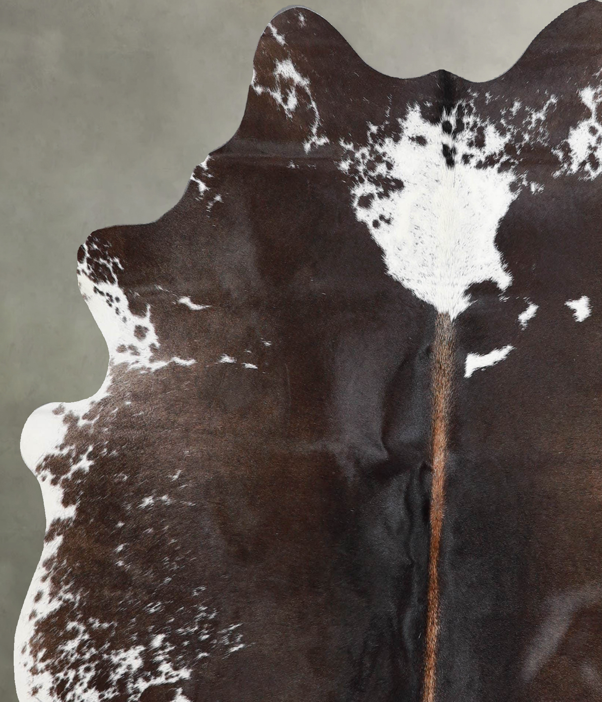 Chocolate and White Medium Brazilian Cowhide Rug 5'4"H x 5'0"W #A55641 by Hudson Hides