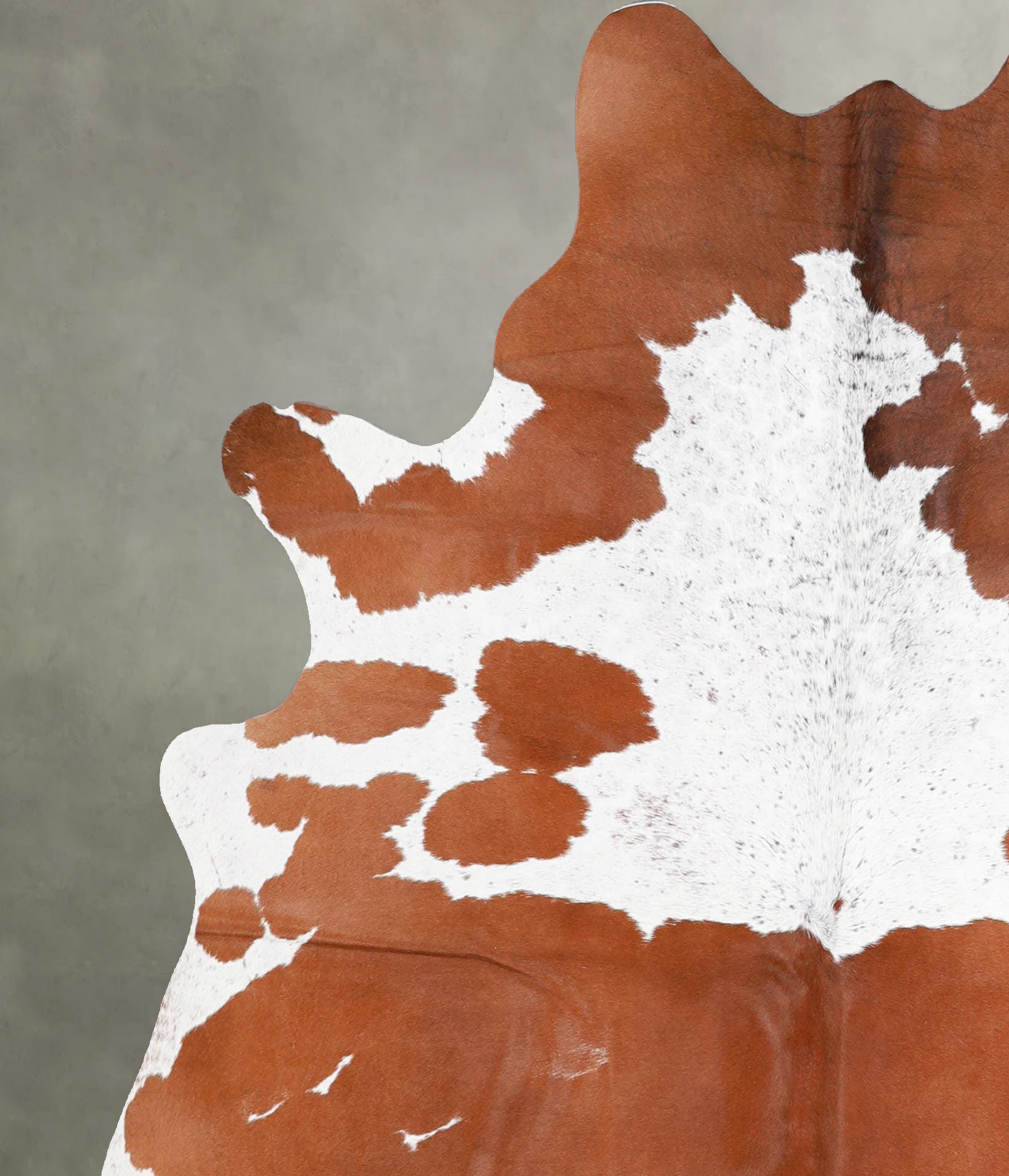 Brown and White Cowhide Rug #A55642