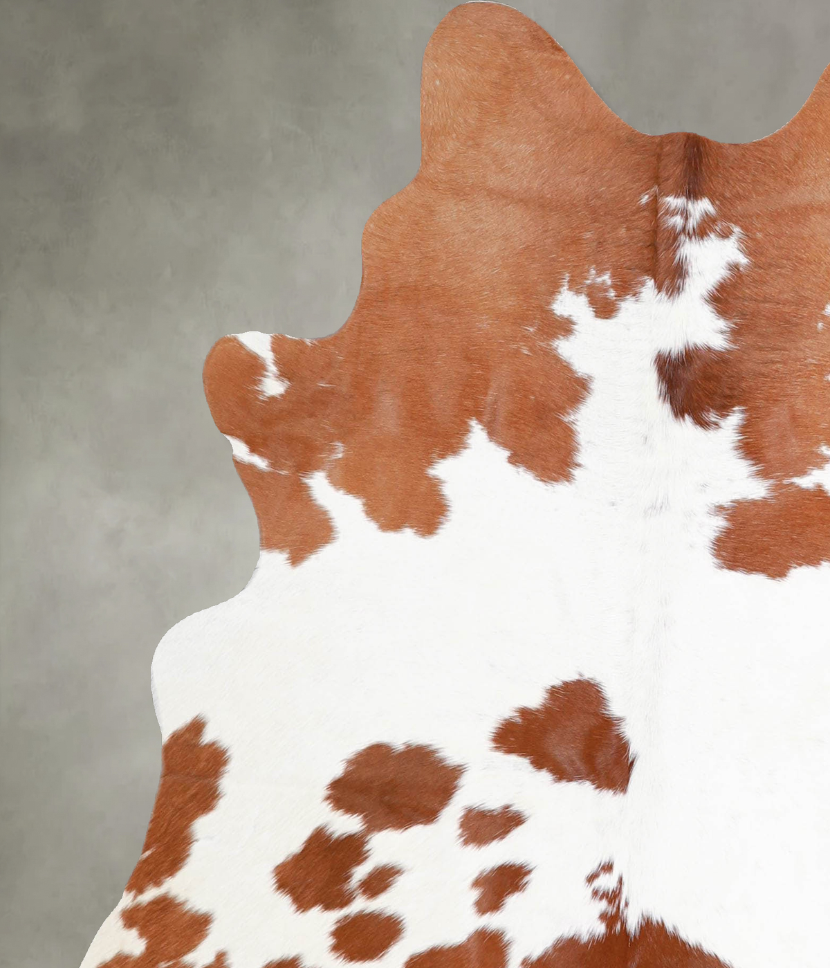 Brown and White Medium Brazilian Cowhide Rug 5'8"H x 4'10"W #A55643 by Hudson Hides