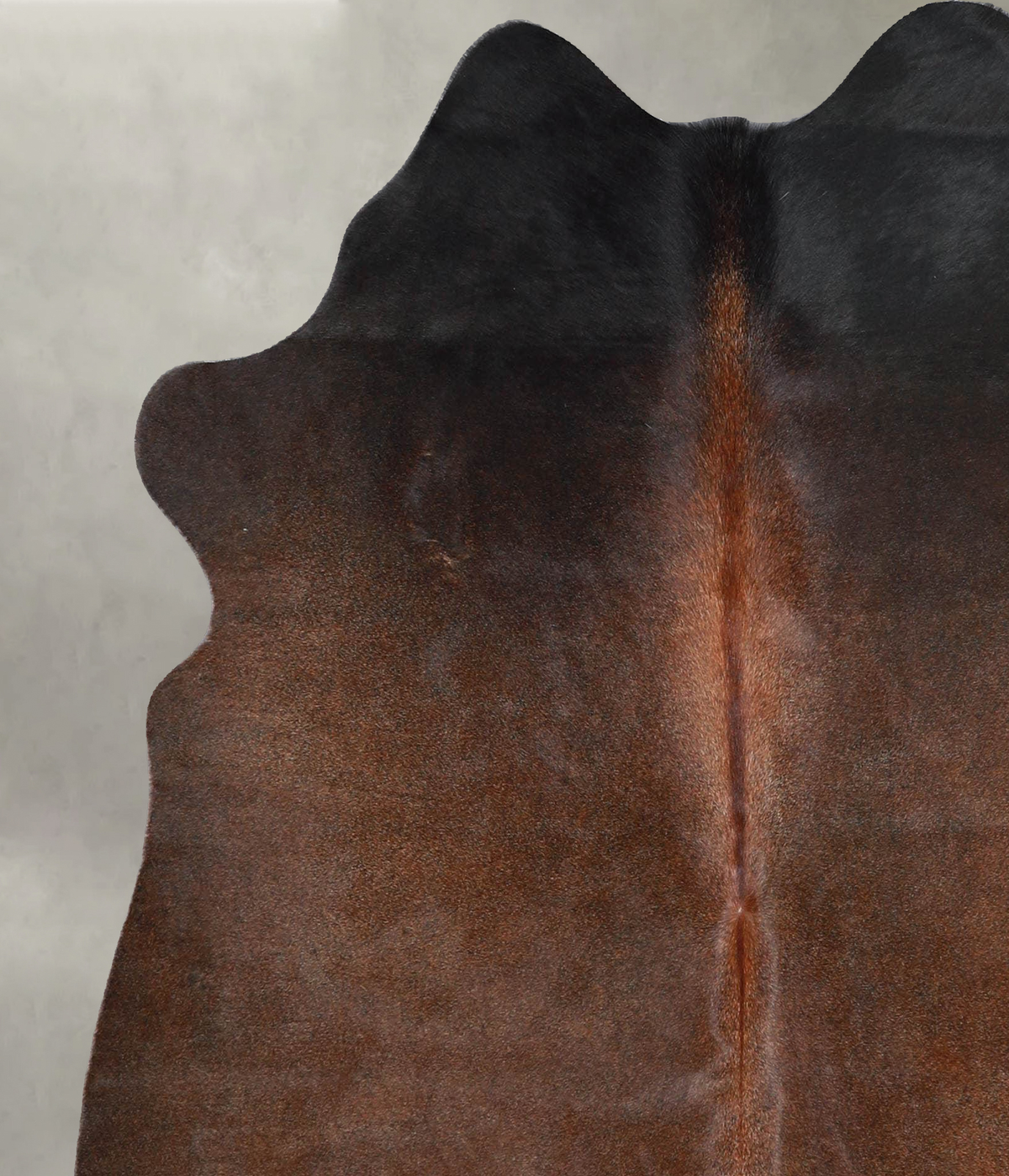 Warm Caramel Medium Brazilian Cowhide Rug 5'7"H x 5'0"W #A55646 by Hudson Hides