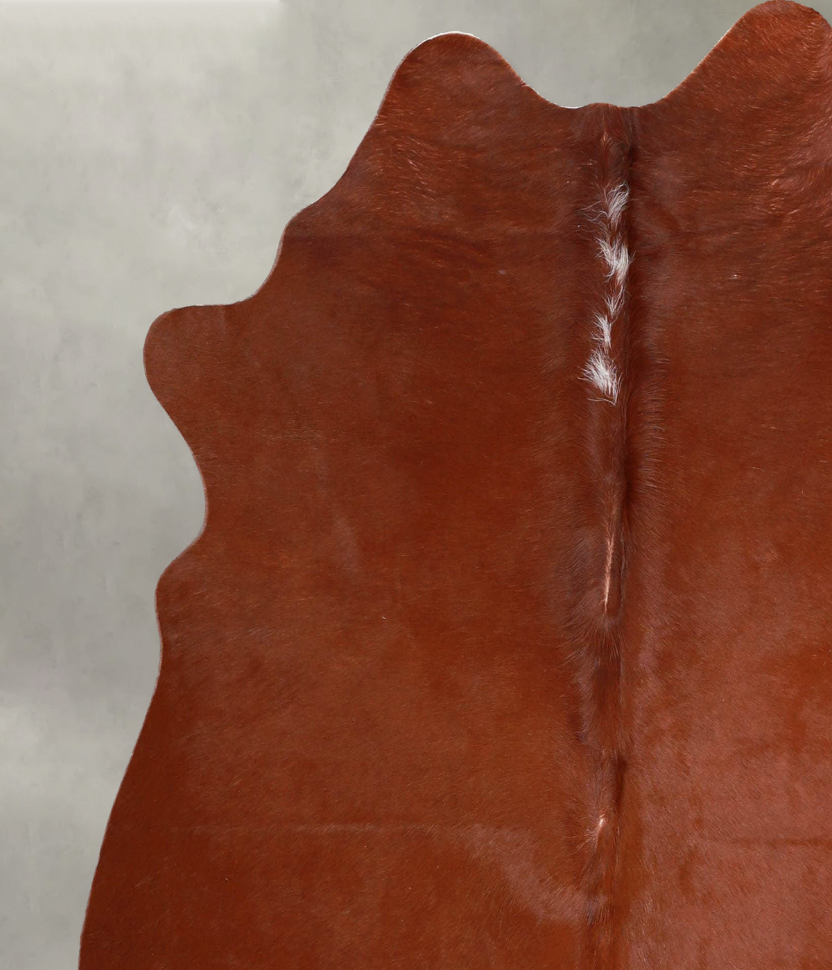 Solid Brown Medium Brazilian Cowhide Rug 5'5"H x 5'1"W #A55647 by Hudson Hides