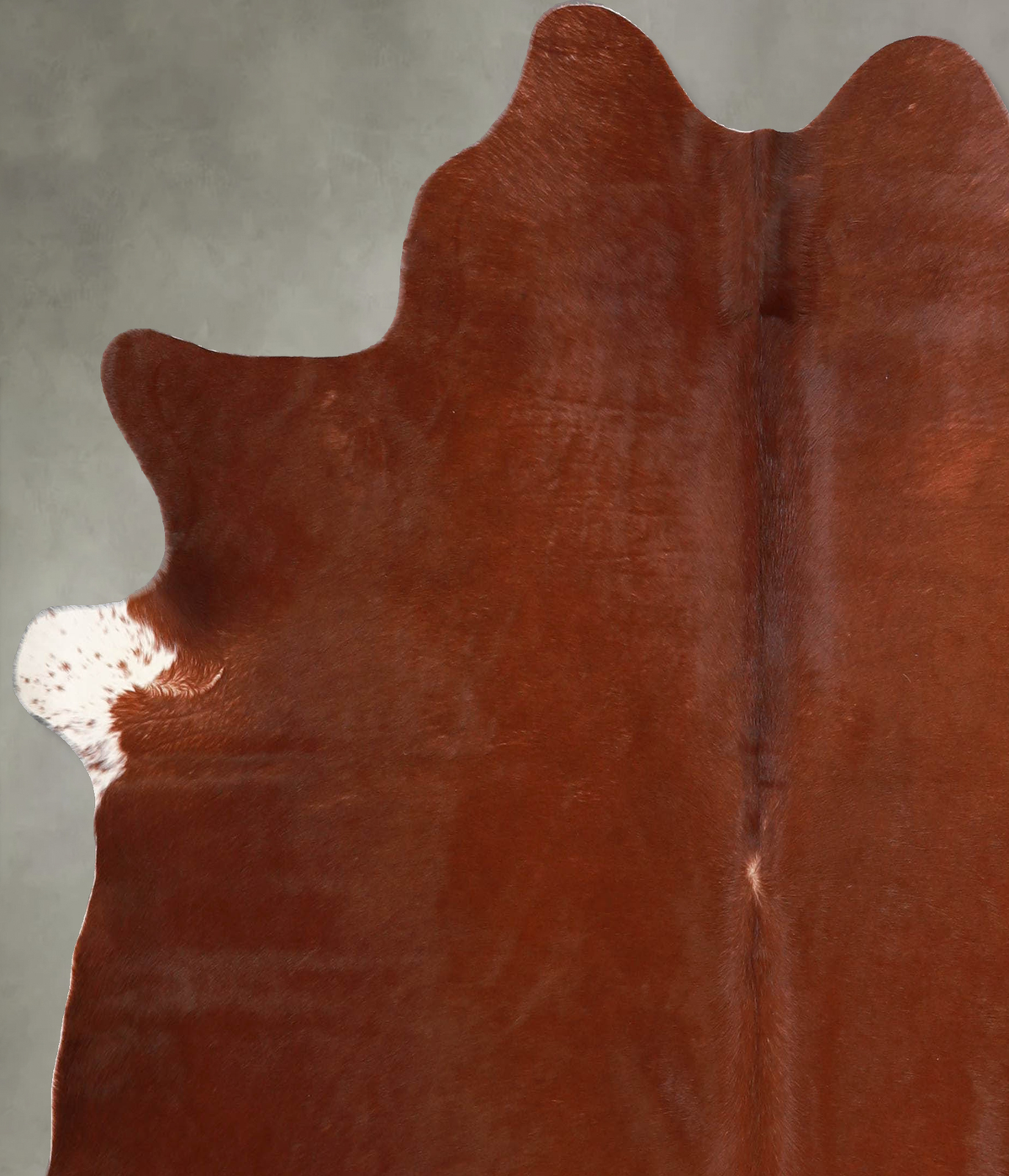 Solid Brown Large Brazilian Cowhide Rug 5'11"H x 5'9"W #A55649 by Hudson Hides