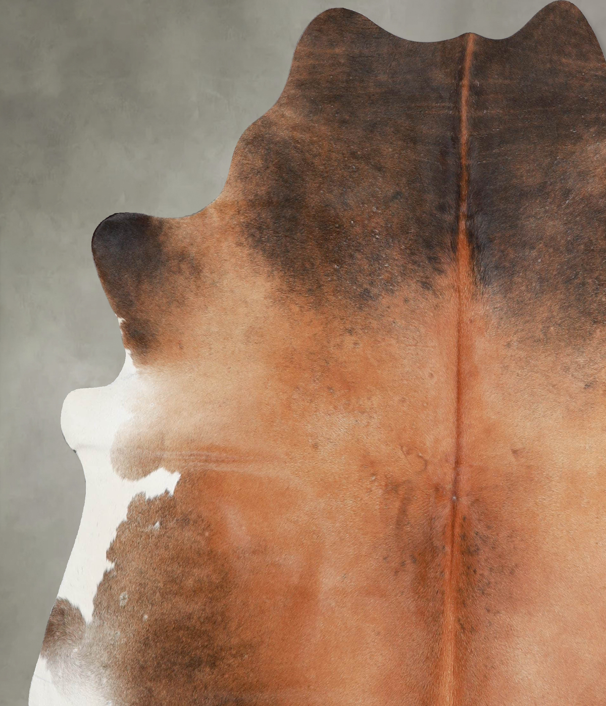 Warm Caramel Large Brazilian Cowhide Rug 6'4"H x 5'11"W #A55651 by Hudson Hides