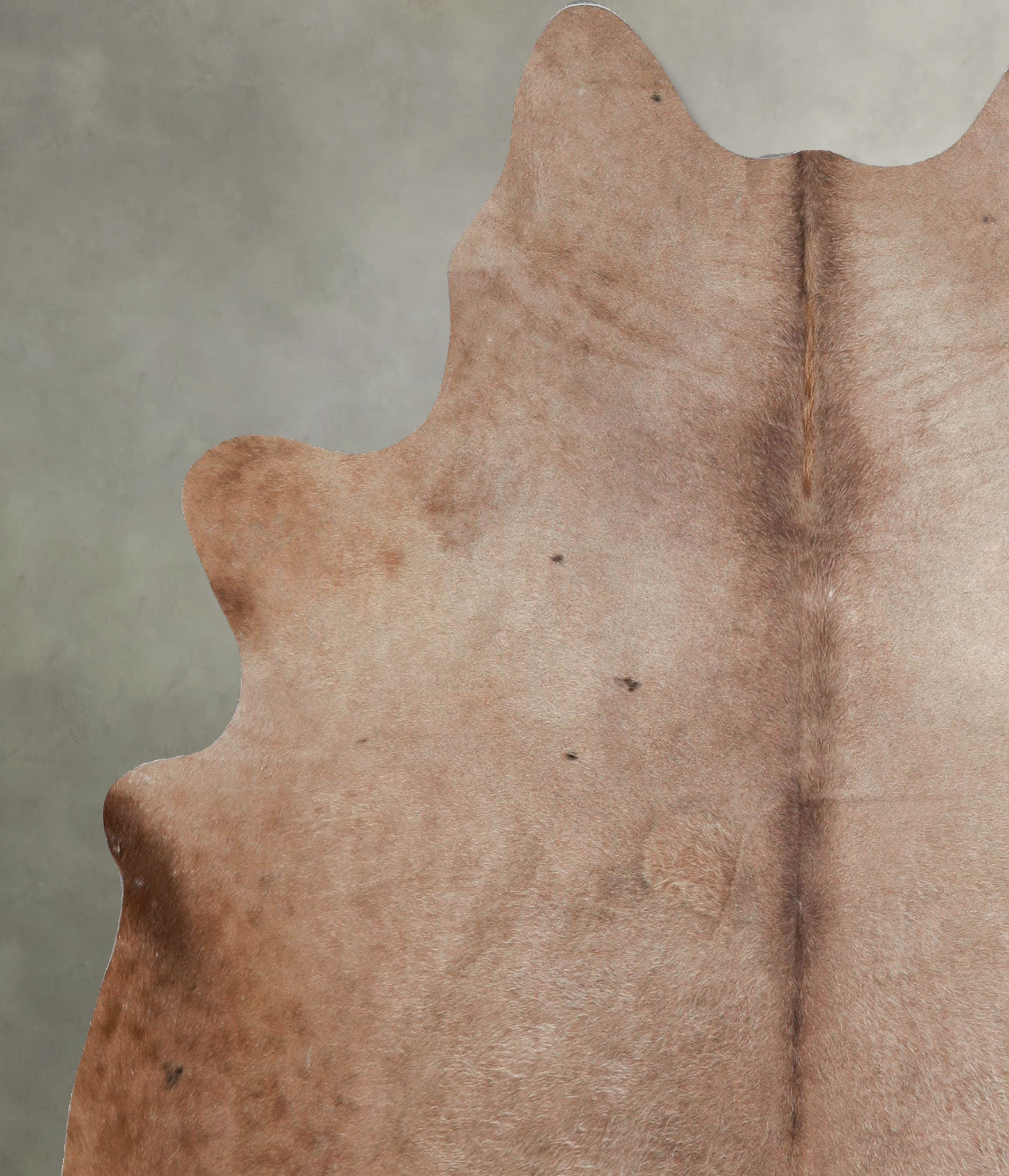 Taupe Cowhide Rug #A55654