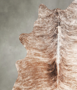 Light Brindle Large Brazilian Cowhide Rug 6'5"H x 5'11"W #A55660 by Hudson Hides