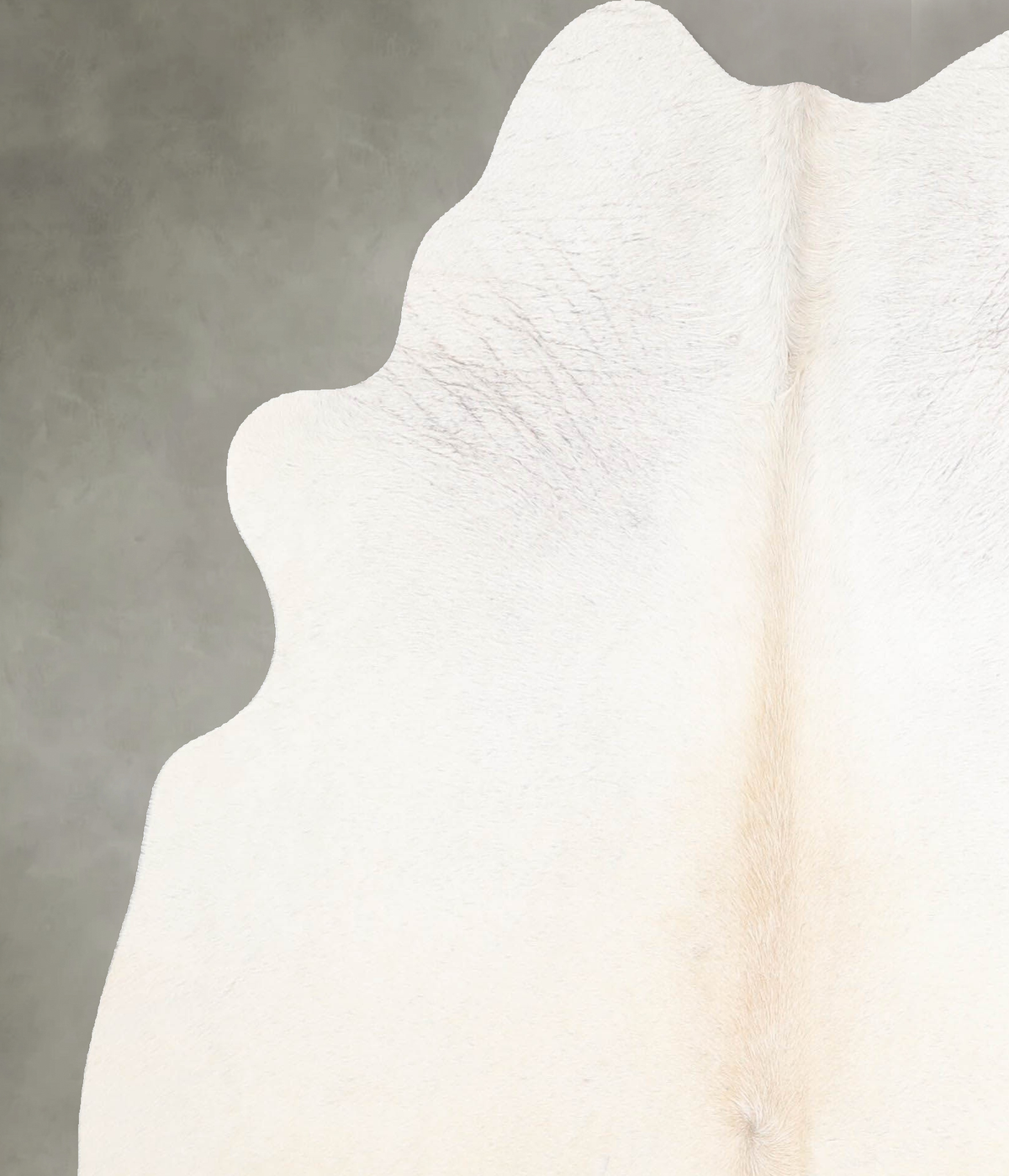 Ivory with Beige Medium Brazilian Cowhide Rug 5'8"H x 5'0"W #A55672 by Hudson Hides