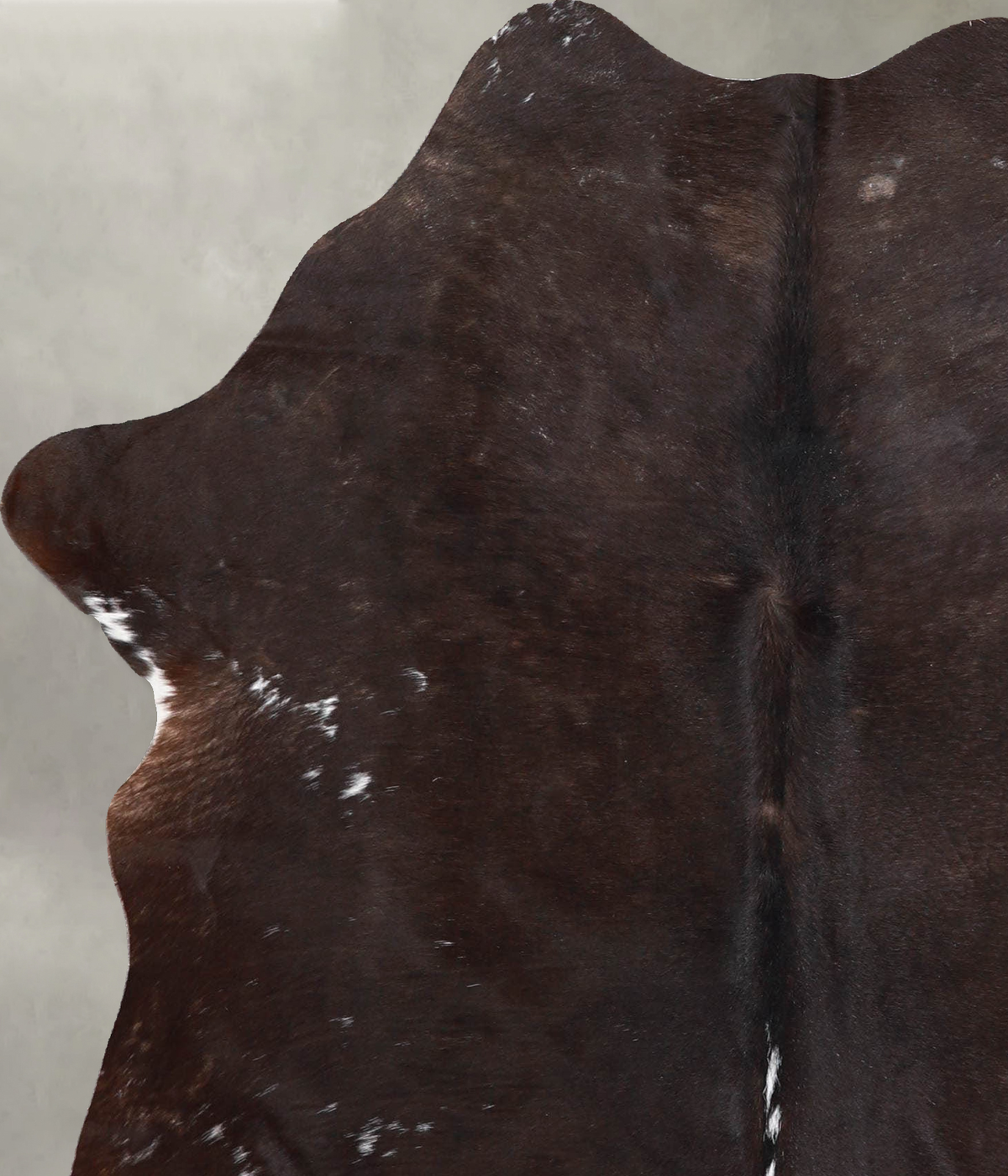 Chocolate Medium Brazilian Cowhide Rug 5'10"H x 4'6"W #A55673 by Hudson Hides