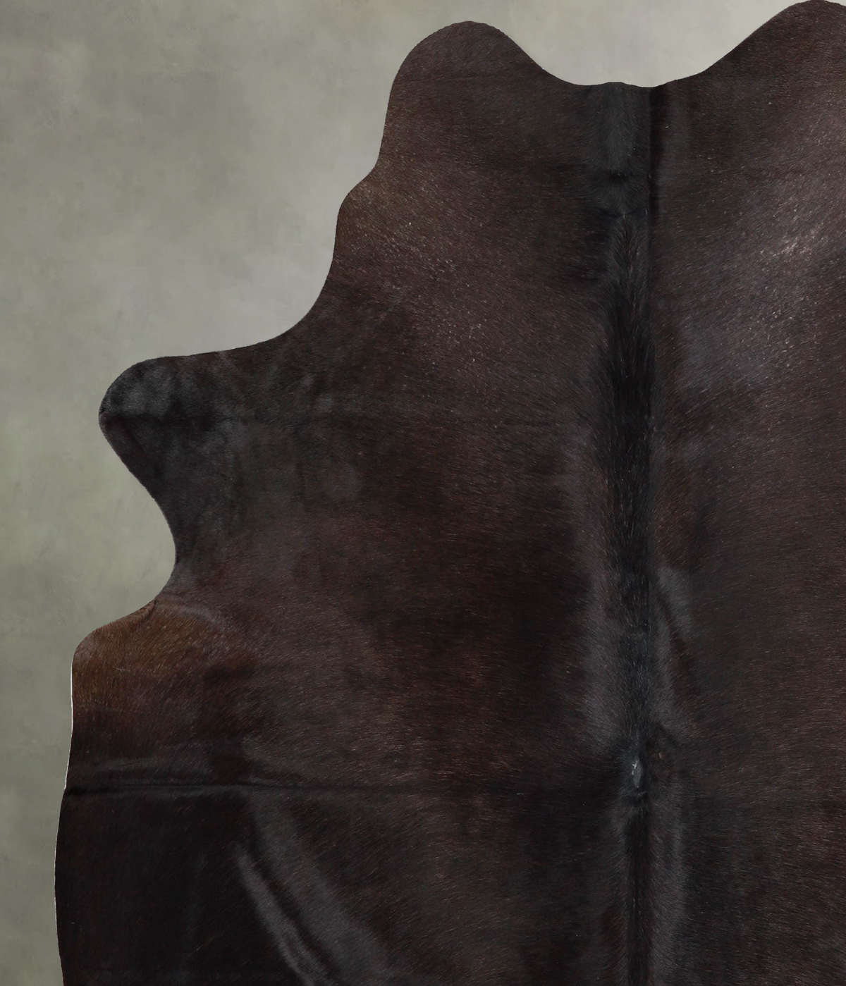 Chocolate Large Brazilian Cowhide Rug 6'10"H x 5'5"W #A55674 by Hudson Hides