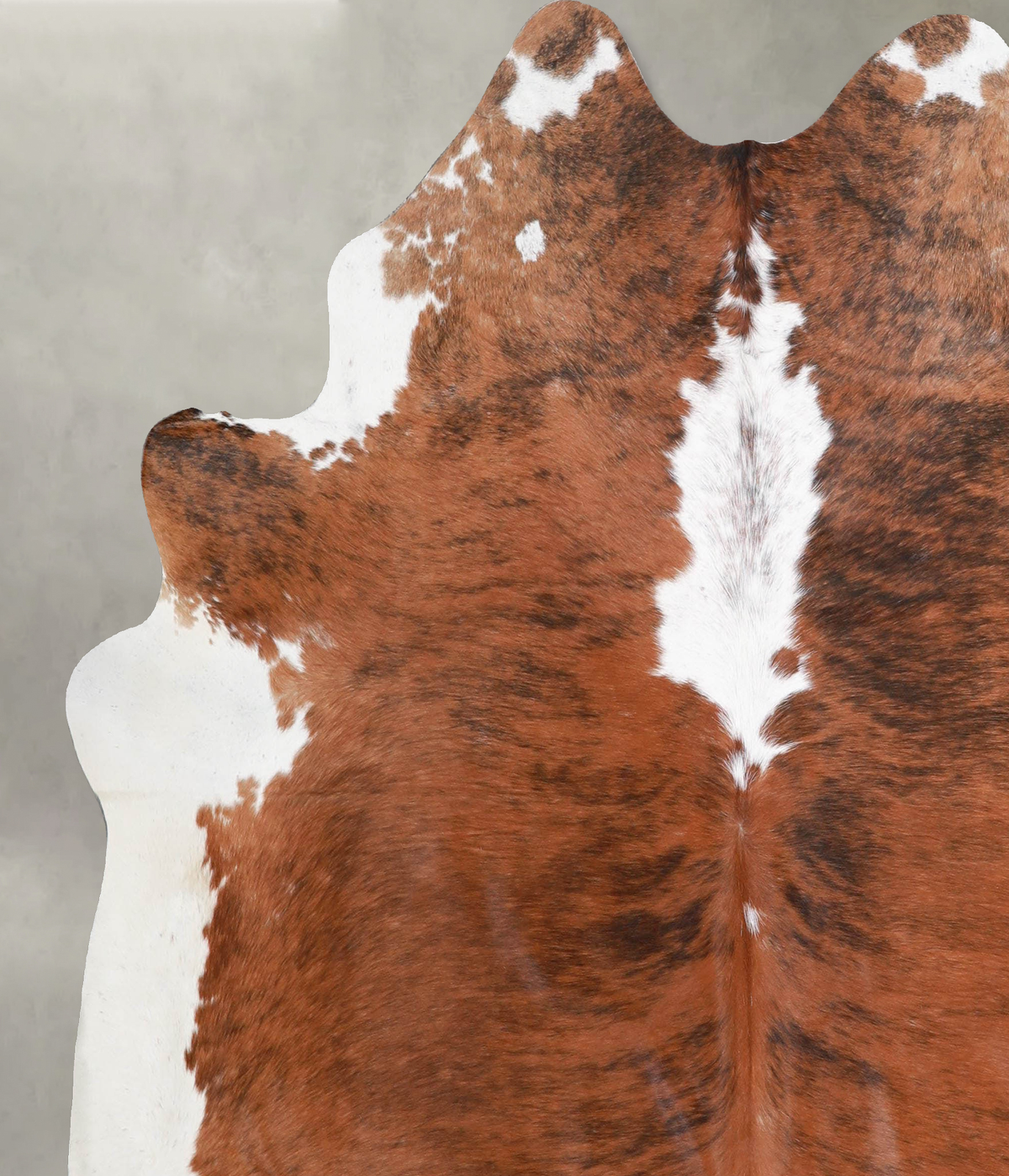 Medium Brindle X-Large Brazilian Cowhide Rug 6'8"H x 6'3"W #A55679 by Hudson Hides