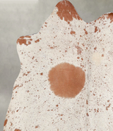 Salt and Pepper Brown Medium Brazilian Cowhide Rug 3'11"H x 4'0"W #A55682 by Hudson Hides