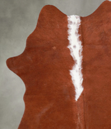 Brown and White Regular Medium Brazilian Cowhide Rug 4'7"H x 3'9"W #A55683 by Hudson Hides